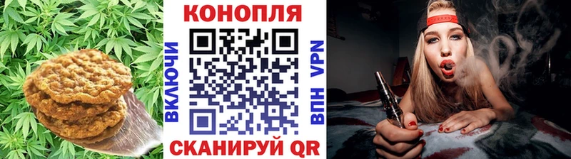 Canna-Cookies конопля  гидра рабочий сайт  Терек 