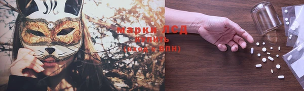 сатива Арсеньев