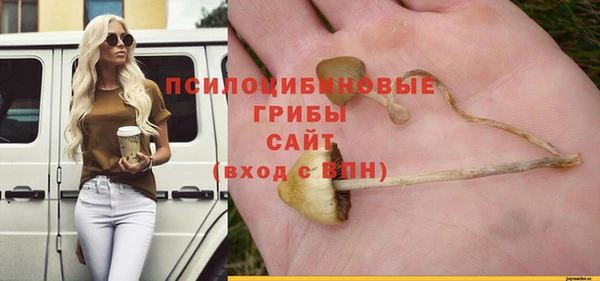 сатива Арсеньев