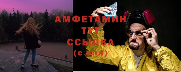 сатива Арсеньев