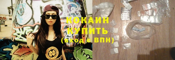 сатива Арсеньев