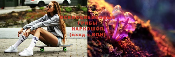 сатива Арсеньев